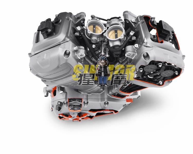 哈雷肥霸对比宝马水鸟,宝马水鸟和哈雷肥仔哪个气场强大