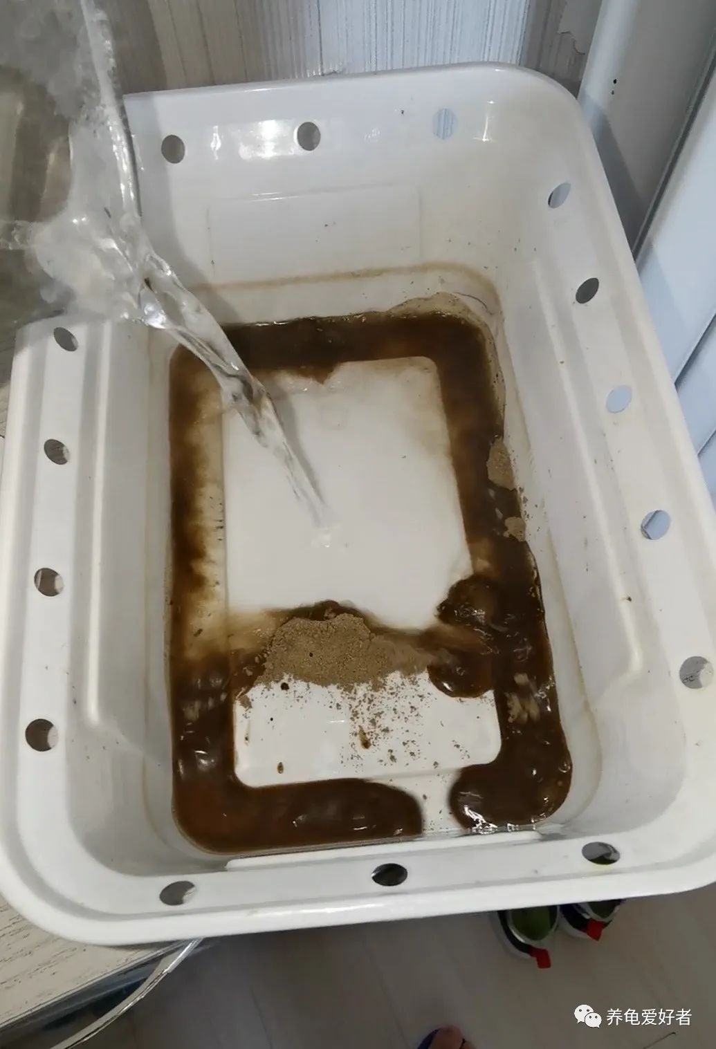 龟病用草药治疗方法,治龟病最佳药物