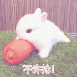 天猫旗舰店卖假货后果,天猫旗舰店卖假货违法