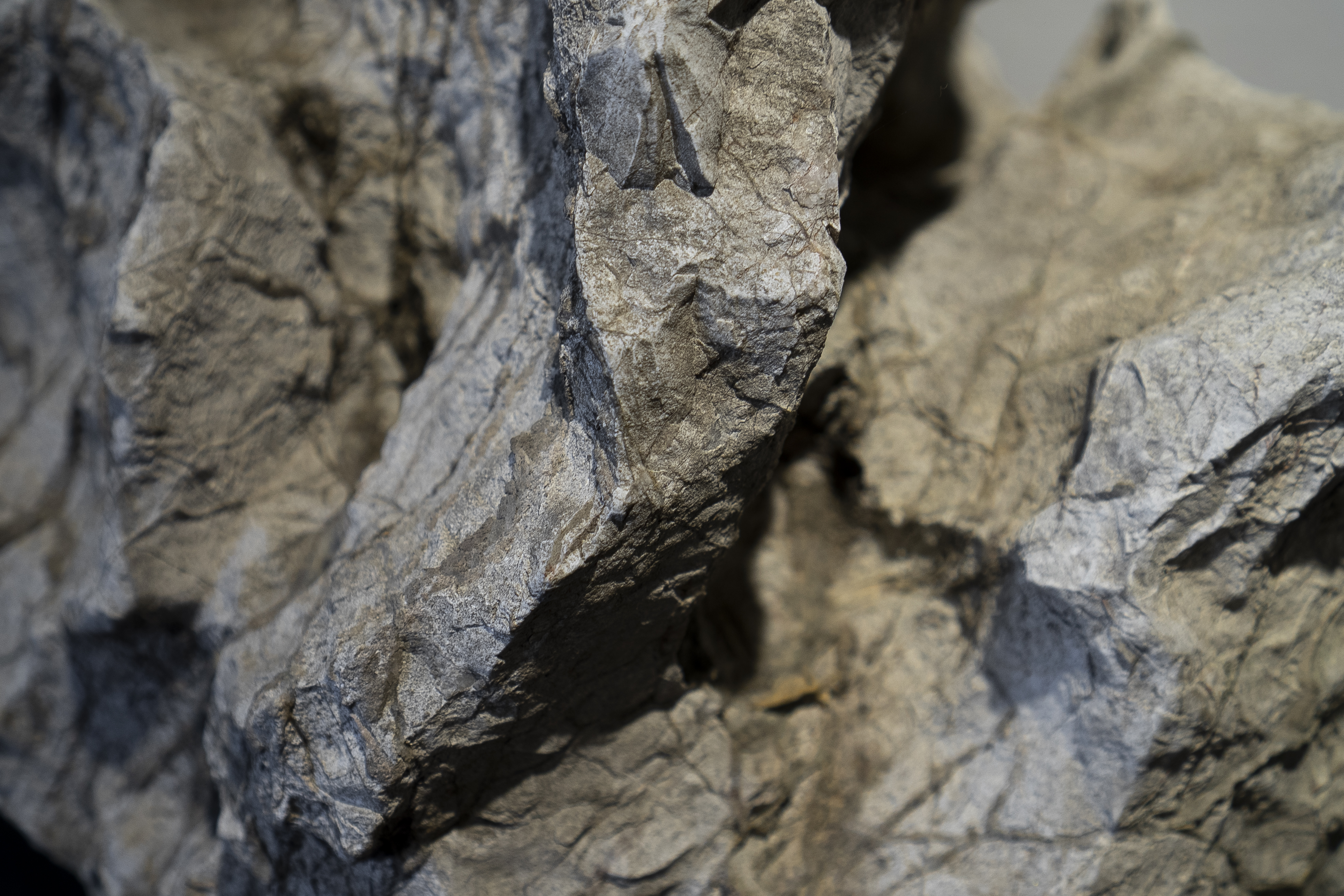 苏州园林中的石文化,苏州园林文化知识