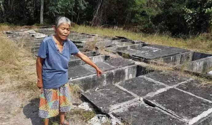 8-10℃降温+大风雨雪来袭；“抢孩子”视频网上热传！郑州民警辟谣