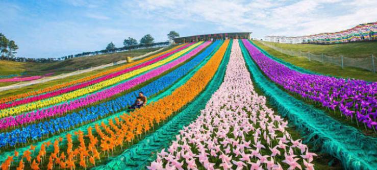湖州飞鸿滑草场景区介绍及购票入口
