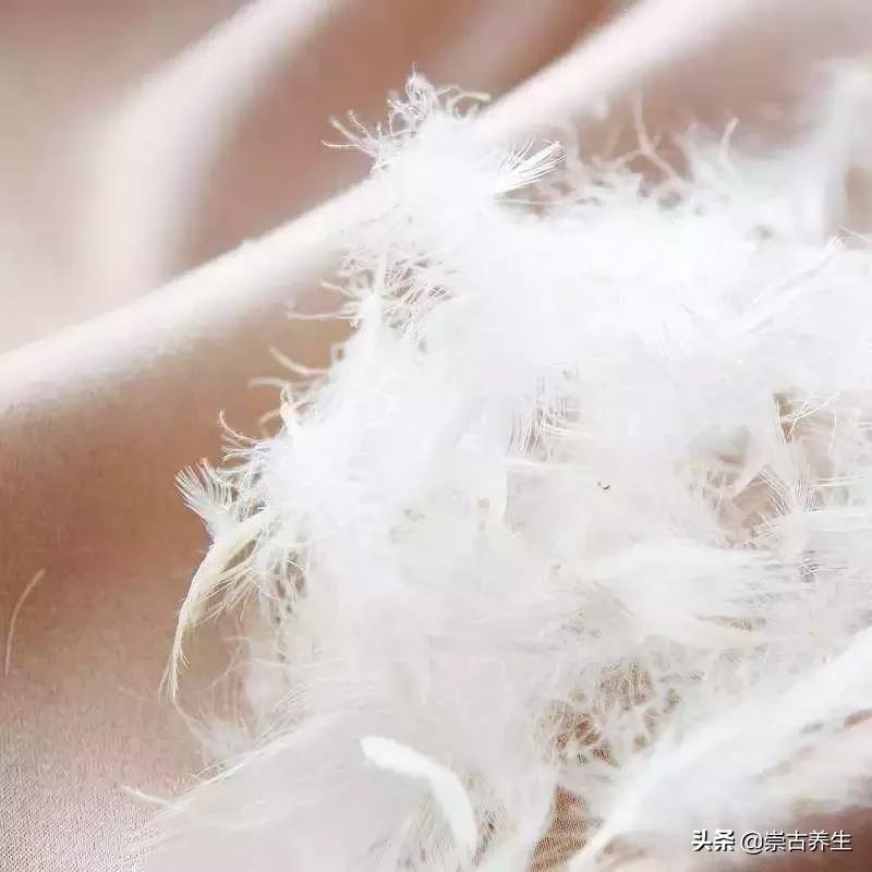 崇古楼：关于颈椎的知识，你的了解有多少？（二）