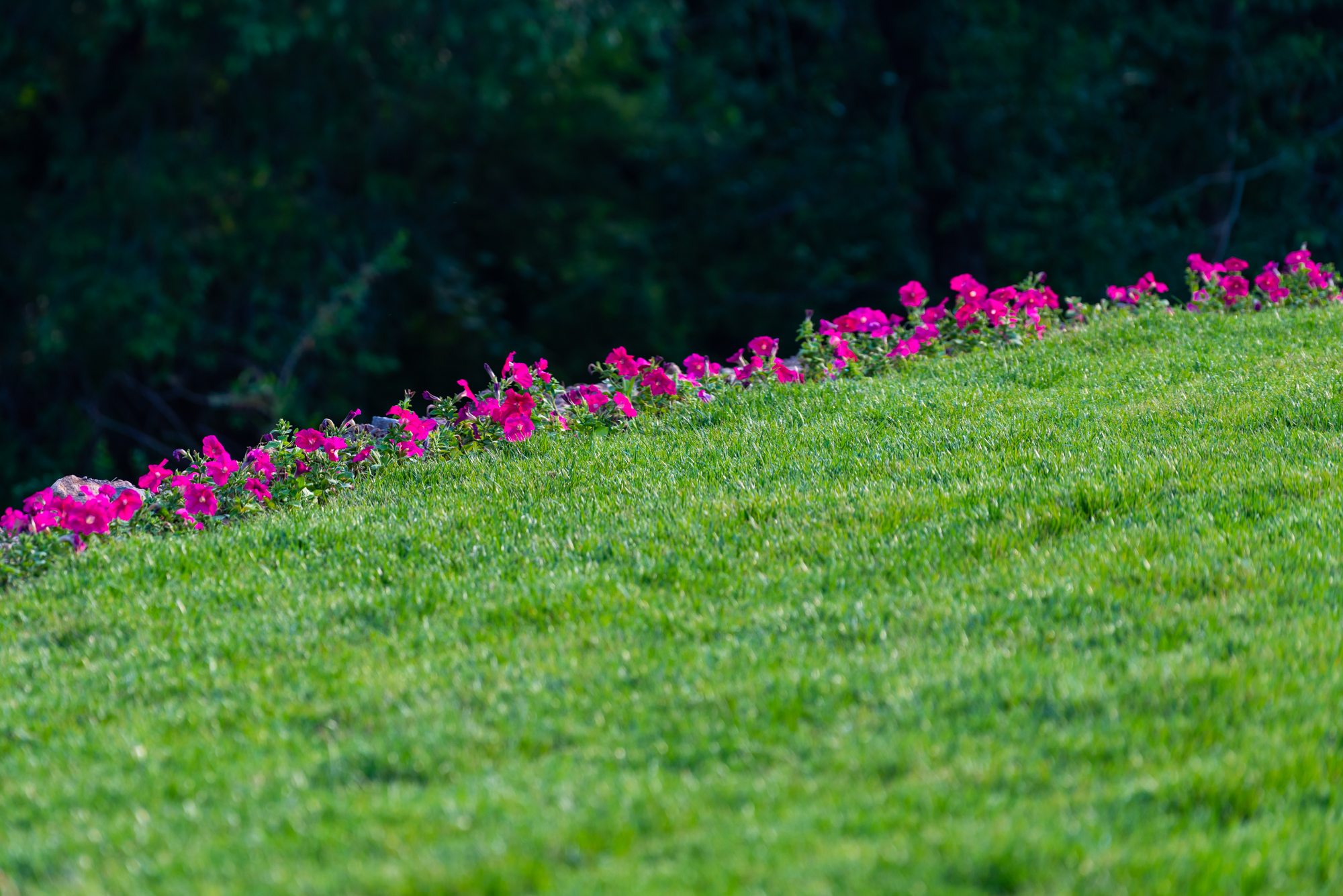 司马台长城的壮观雄奇+北方人的梦里水乡，都在这座京郊水镇了