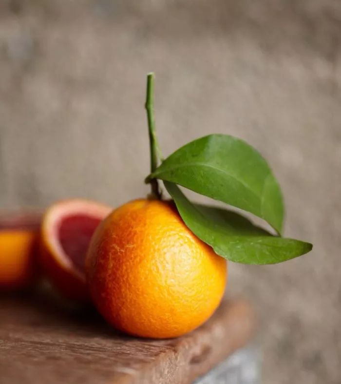 会画画的都会画素描吗,有的人说我不会画素描