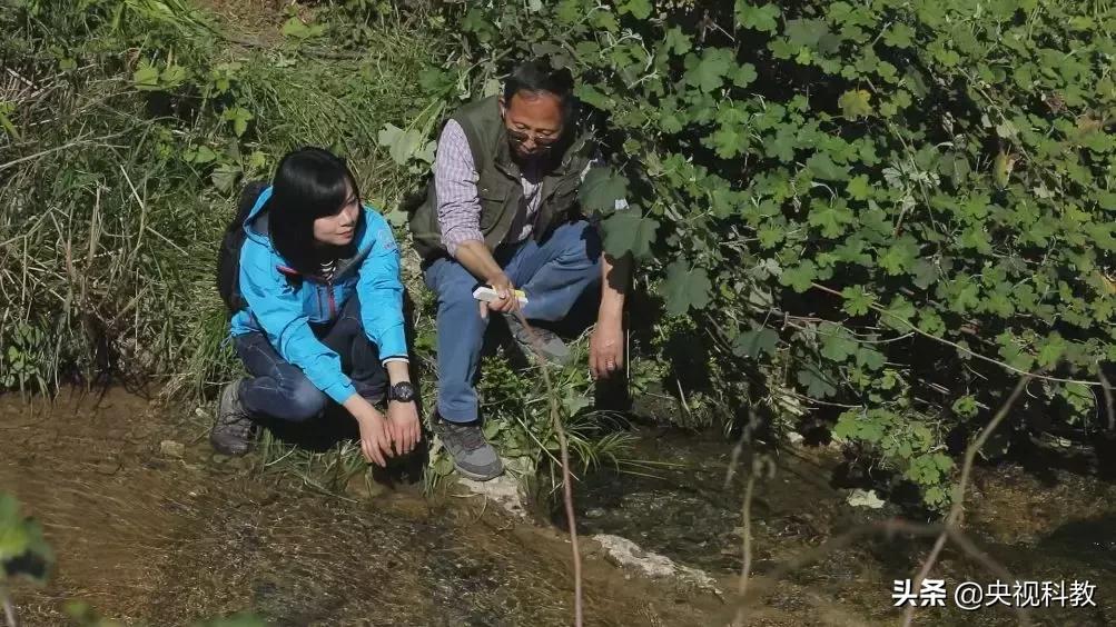 鱼泉洞穴,会冒鱼的山洞是什么