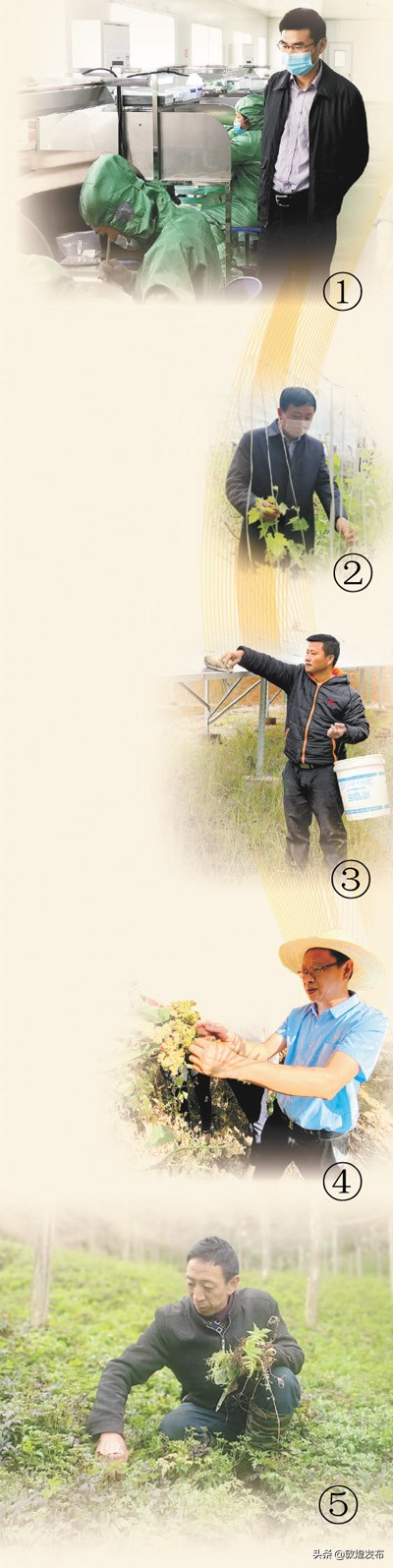 扶贫贷款带动贫困户案例,扶贫产业助农脱贫