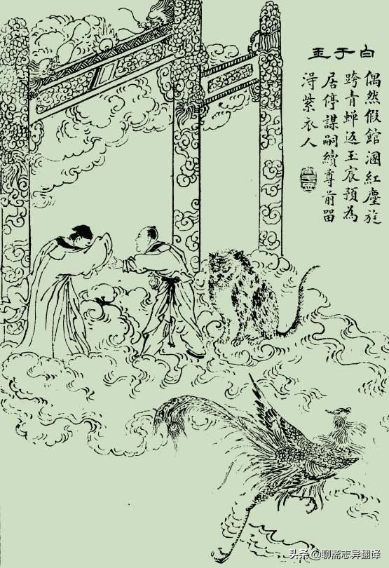 白话聊斋白秋练,白话聊斋之粉蝶