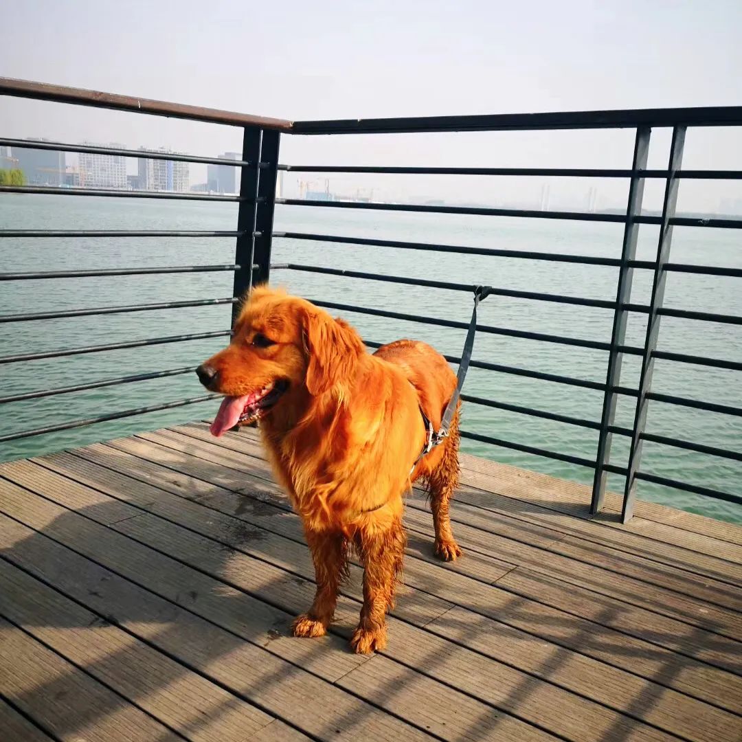 恢复堂食第一天餐厅,郑州恢复堂食的第一天