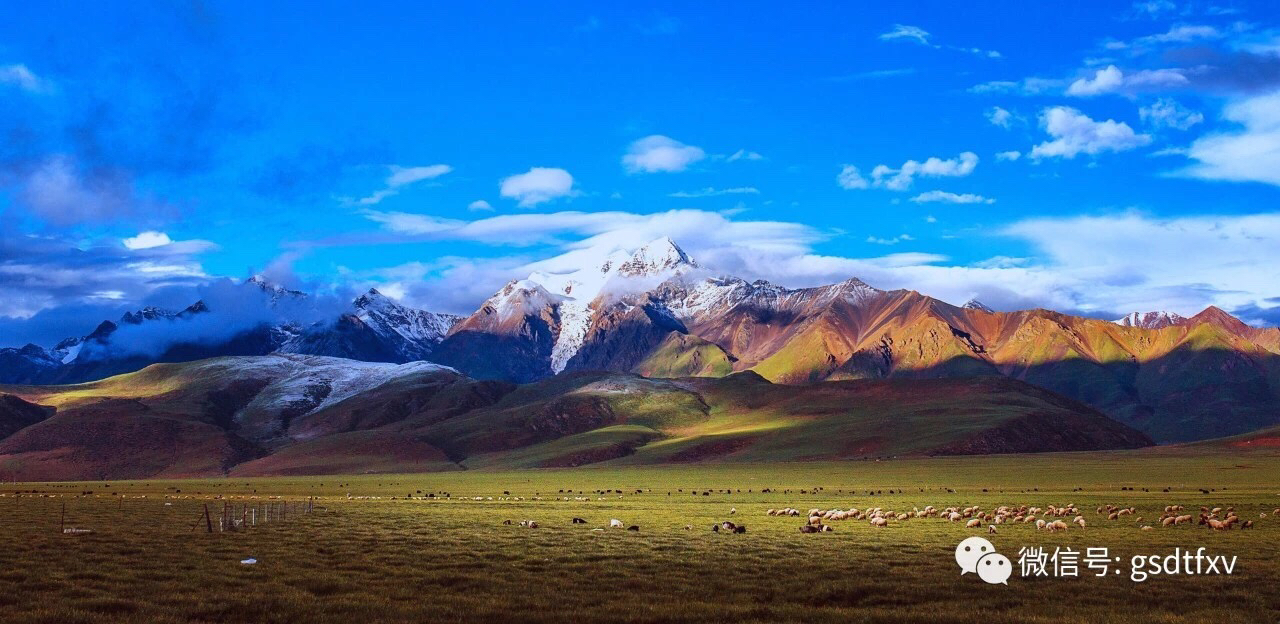 中科三环入股南方稀土,中科三环入股清陶能源