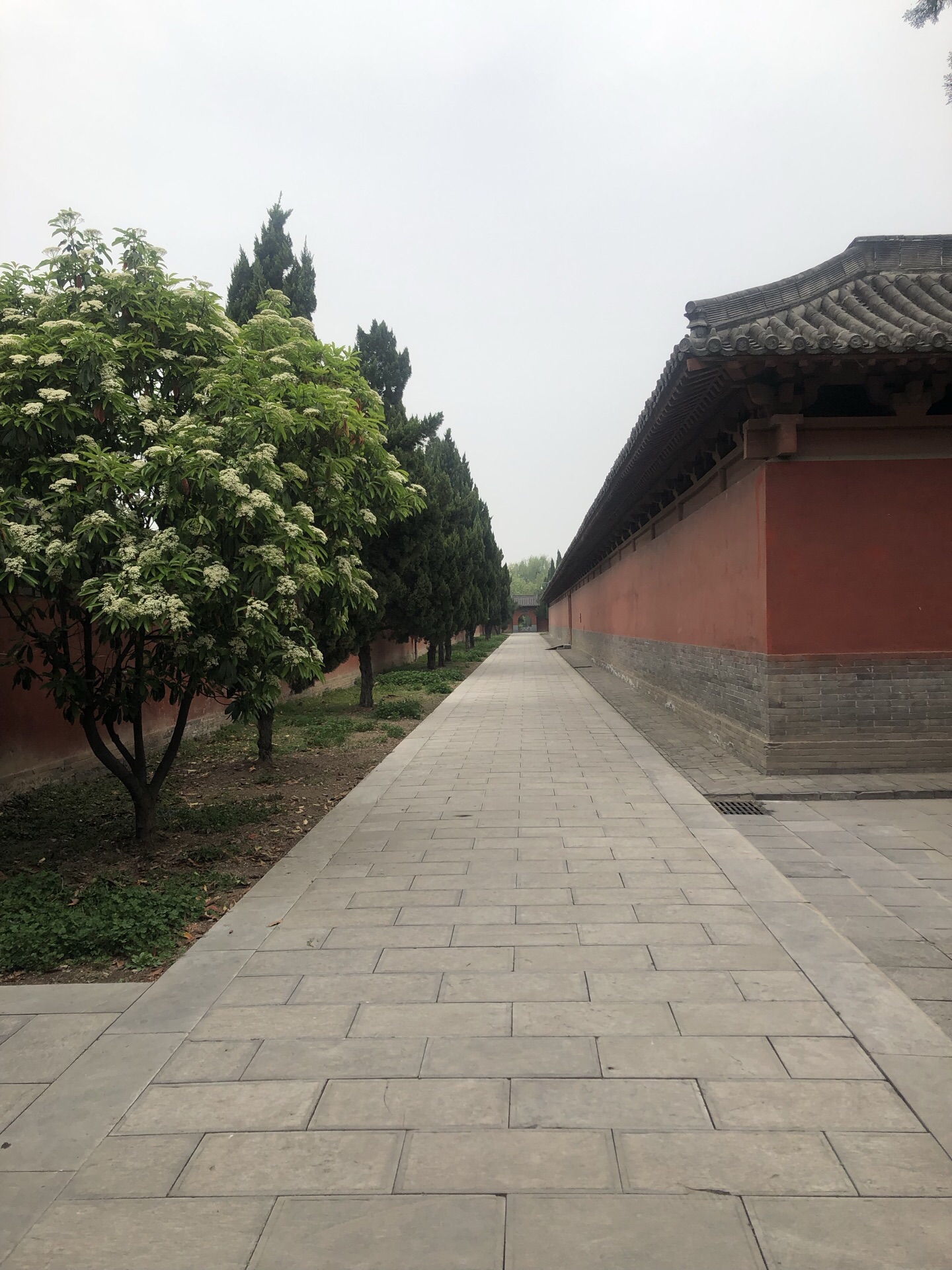 河南济源旅游景点地图,河南济源市有什么景区