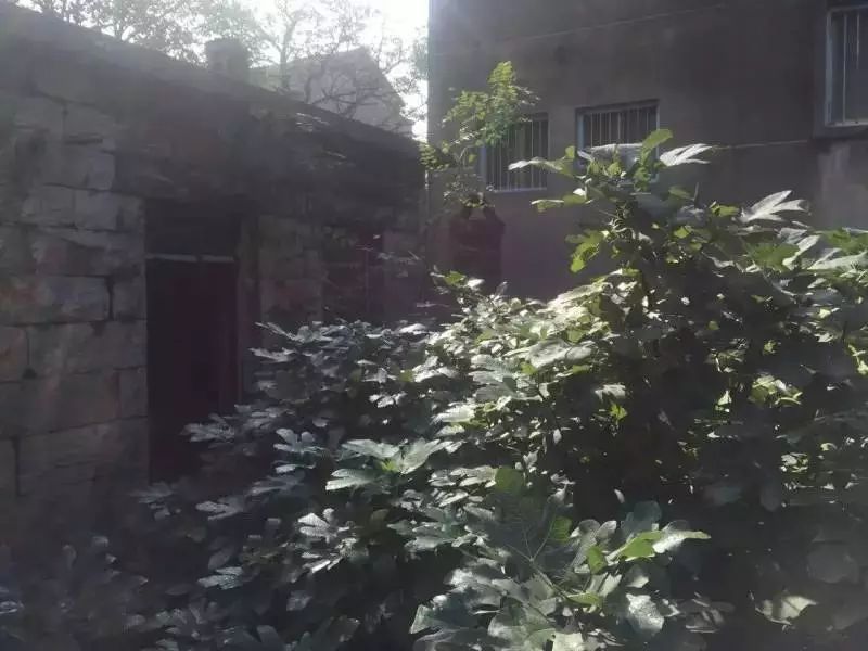 10000块能做点什么,10000块钱能做什么