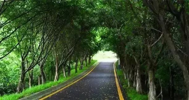 深圳免门票景点推荐,深圳市内近20个景点一票通玩