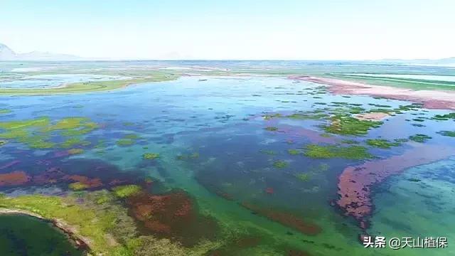 新疆的南疆图木舒克属于阿克苏吗,新疆图木舒克城市风景