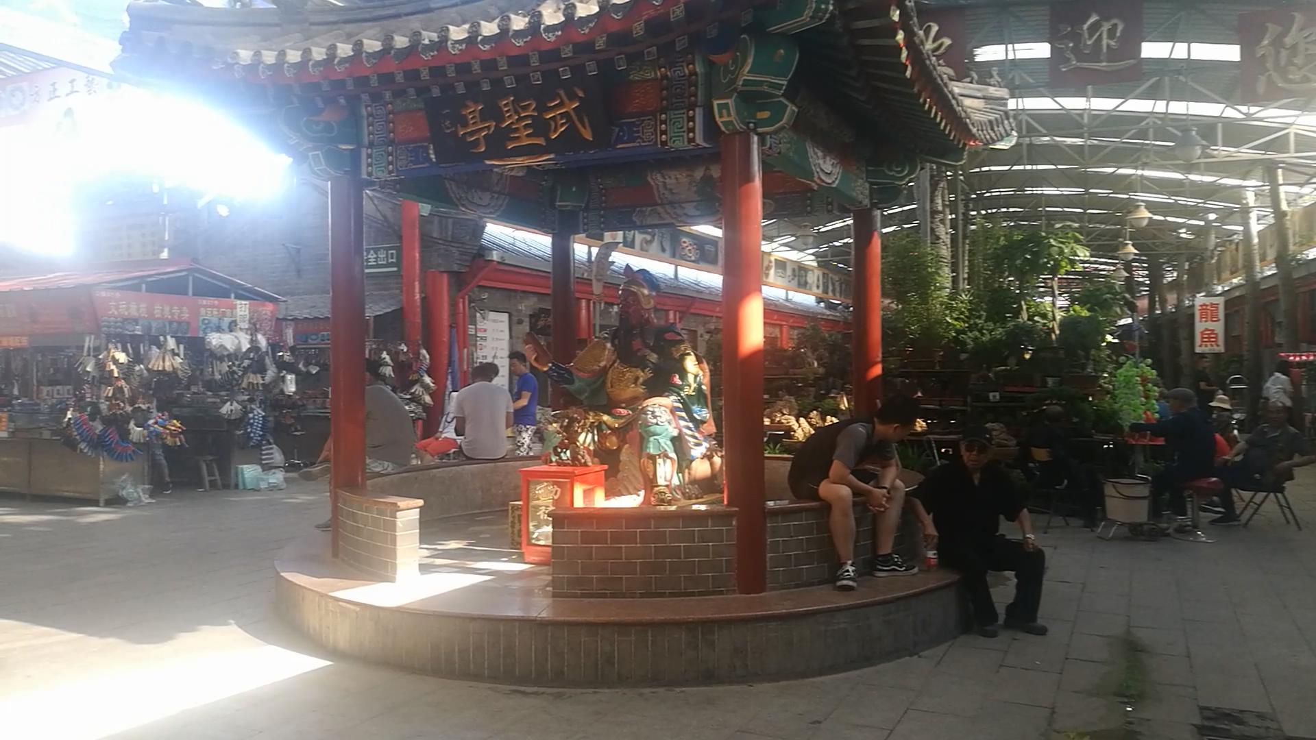 2020年北京观赏鱼批发市场夜市,观赏鱼夜市北京