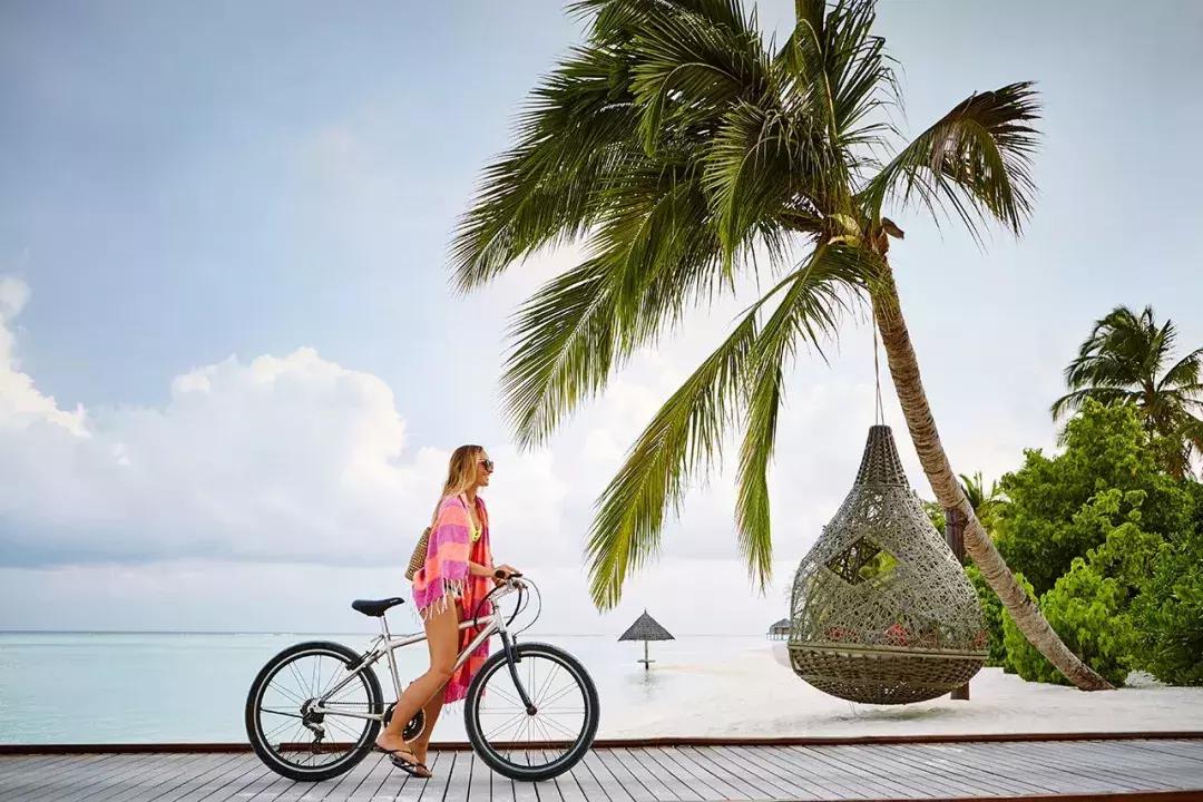 白本护照出境法国旅游免签吗,白本护照旅游去哪个国家比较好