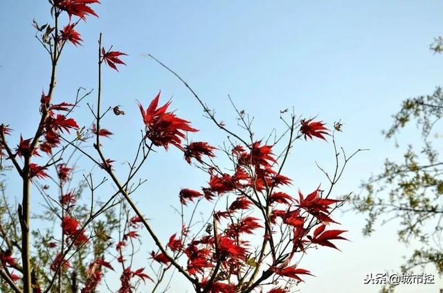 7个惊艳小众旅行地建议收藏哦,江苏省小众旅游地点