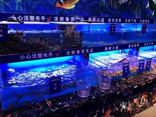 杭州最好吃的自助餐厅人均130,杭州十大顶级自助餐