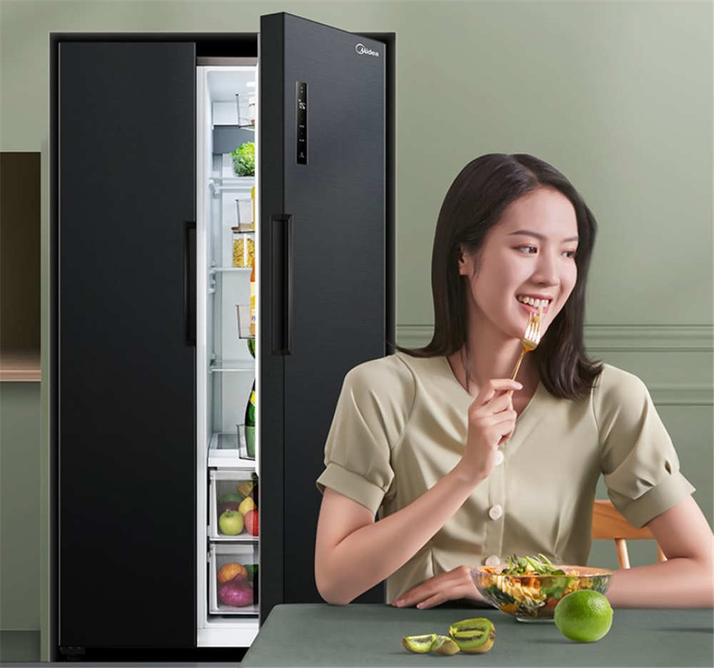 教你选净味冰箱,除菌净味好的冰箱