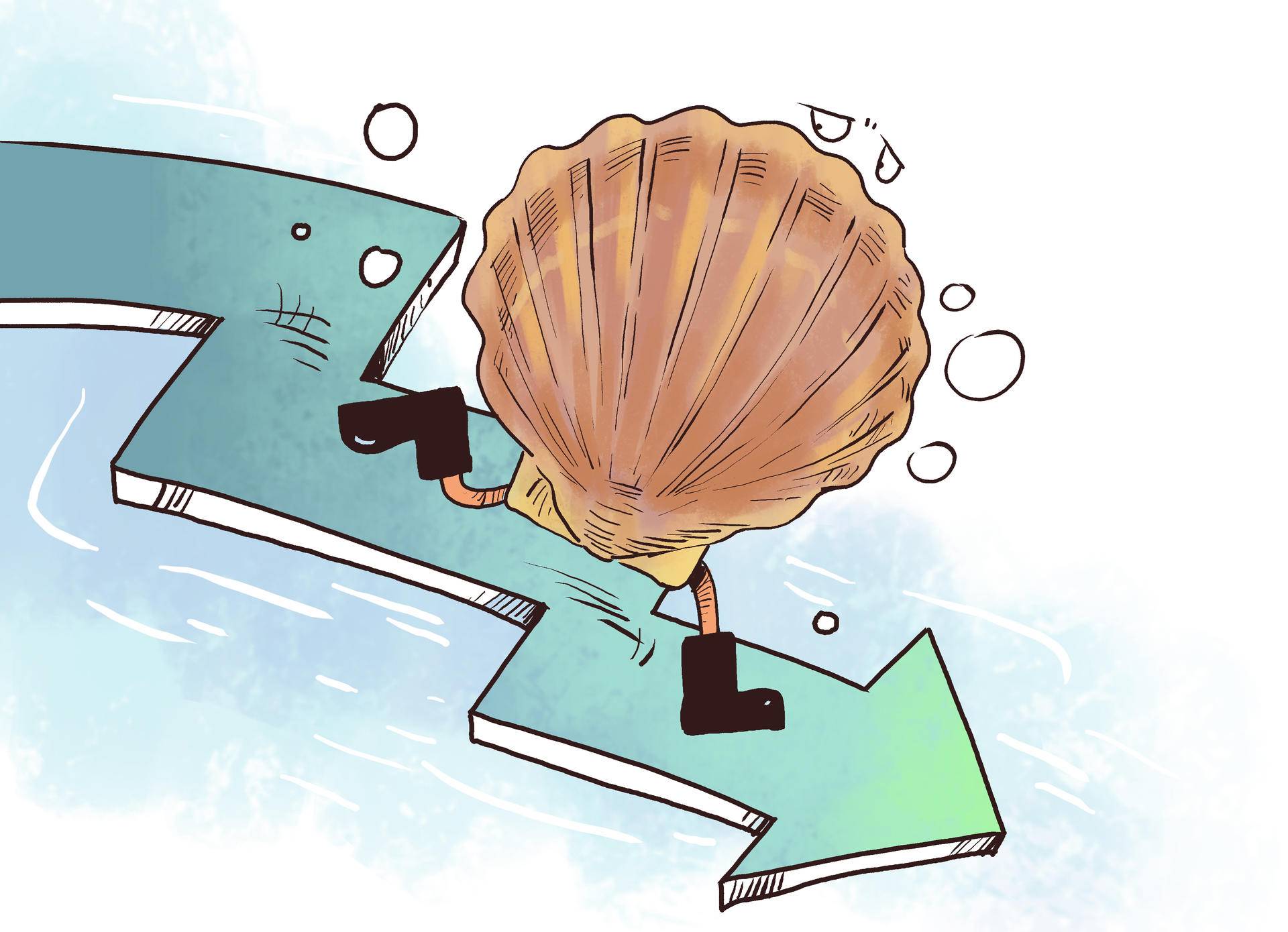 獐子岛财务造假事件回顾,獐子岛财务造假案造成的影响