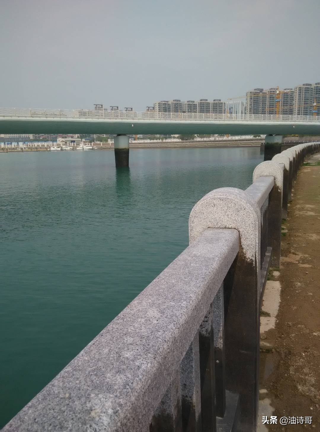 缘起五缘湾，那个爱钓鱼的懵懂少年