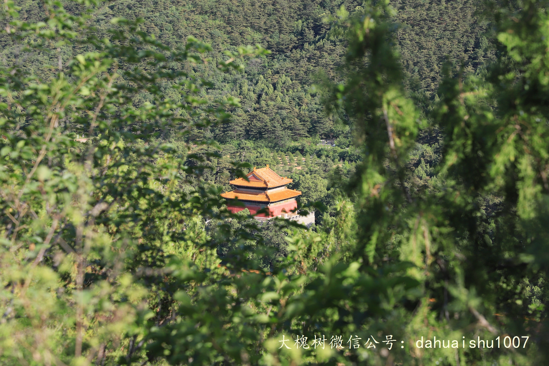 嘉靖陵墓永陵和永乐大典,明朝十三陵之永陵