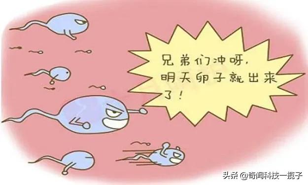 抑郁症与基因的关系,抑郁症对精子有影响吗