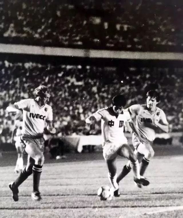 天津津门虎主场泰达,天津泰达津门虎俱乐部