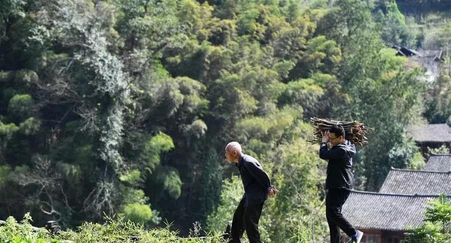 干部下沉,干部下沉一线