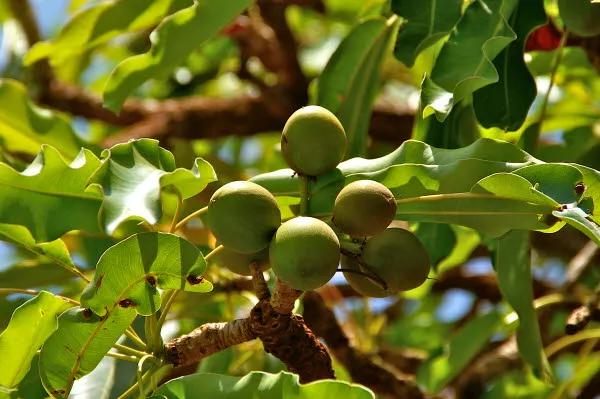 脚后跟老茧怎么去除,我的脚后跟有老茧变硬有细微开裂