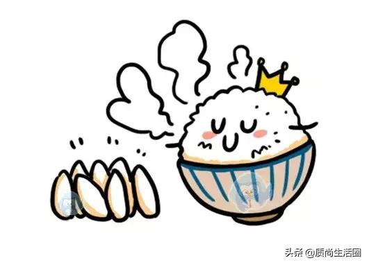 小米电饭煲哪一款煮饭速度快,电饭锅测评迷你