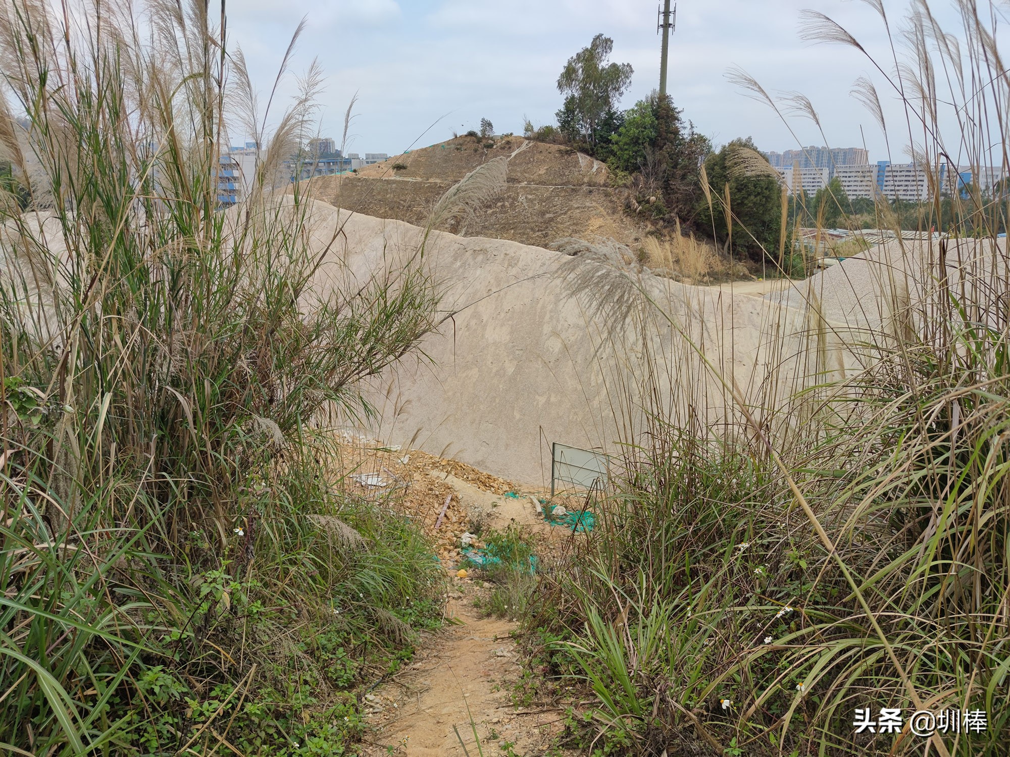 爬深圳梧桐山原视频,深圳鼓嶂岭
