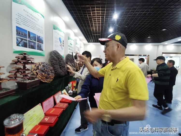 赴一场槐花的邀约——宝鸡作家赴扶风野河山采风