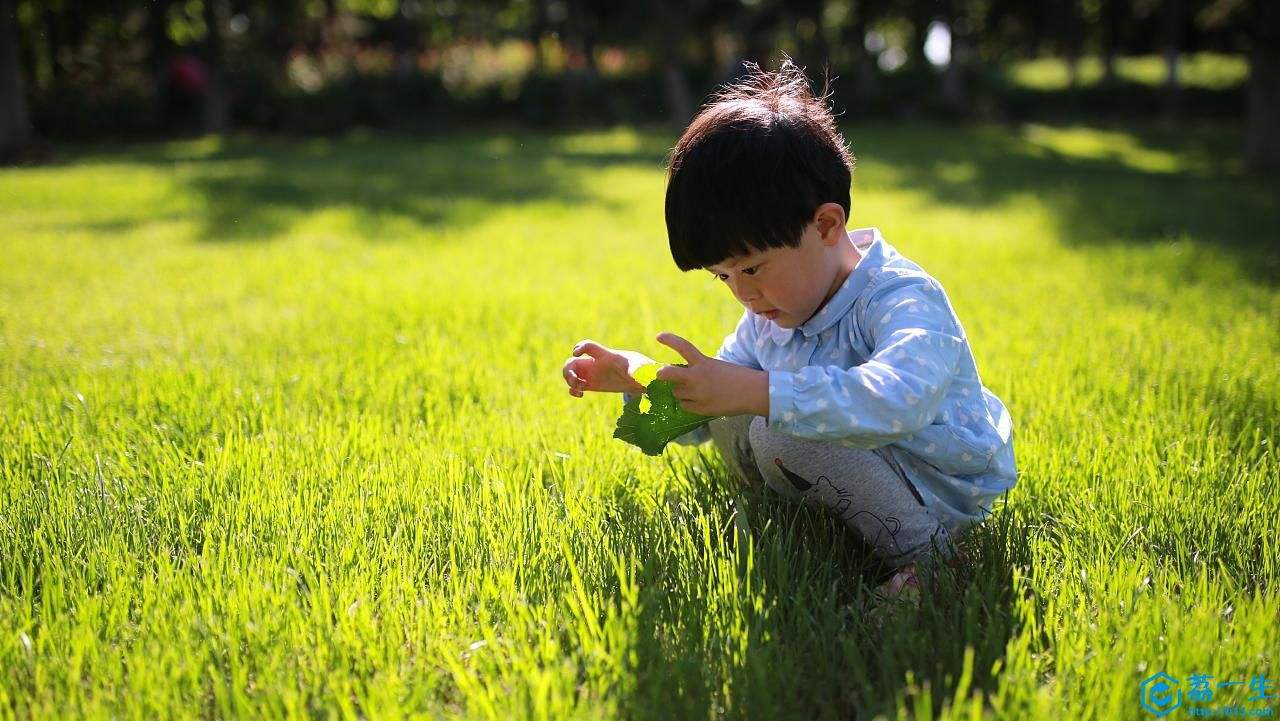 蒙台梭利为什么0-6岁是早教关键期,蒙台梭利感觉训练含义