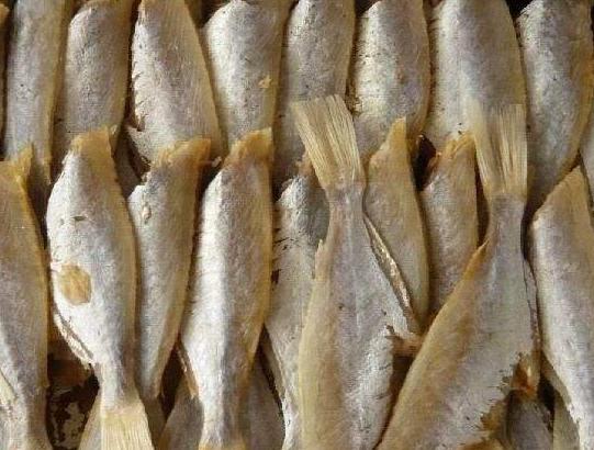 咸鱼也能大翻身,咸鱼可以烧土豆吗