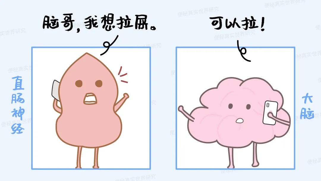 憋屎导致没有便意排便困难怎么办,大便老是憋着会出现什么问题