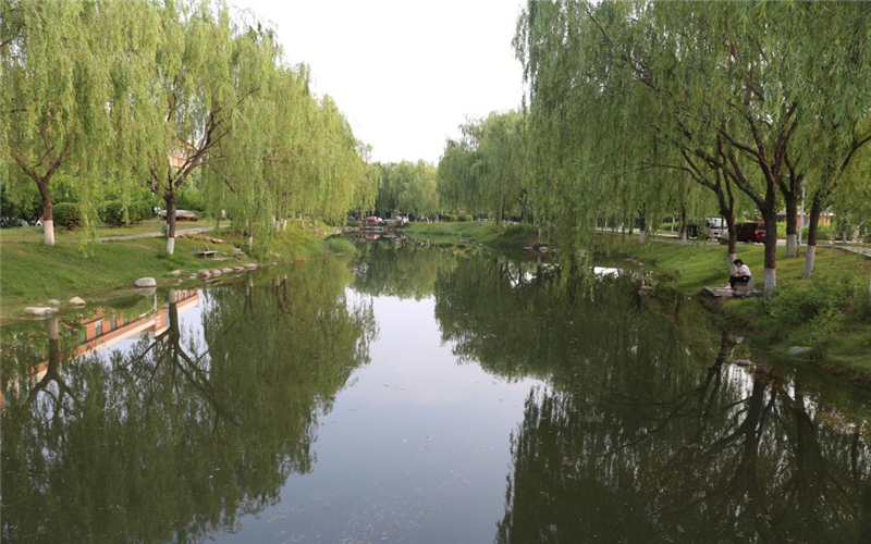 河南民办高校（本科）大起底：野花儿香，能采不？