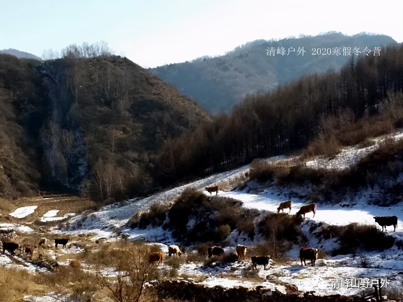 适合小学生寒假去的冬令营,冬天儿童冰雪游学