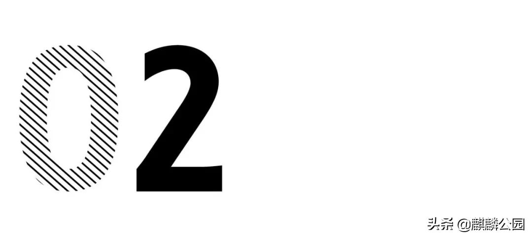 哪哪都有你|最大的国企美国邮政（USPS），快被特朗普搞破产了？