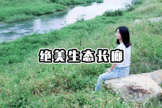 深圳好玩景点地铁路线,深圳好玩免费景点地铁直达的