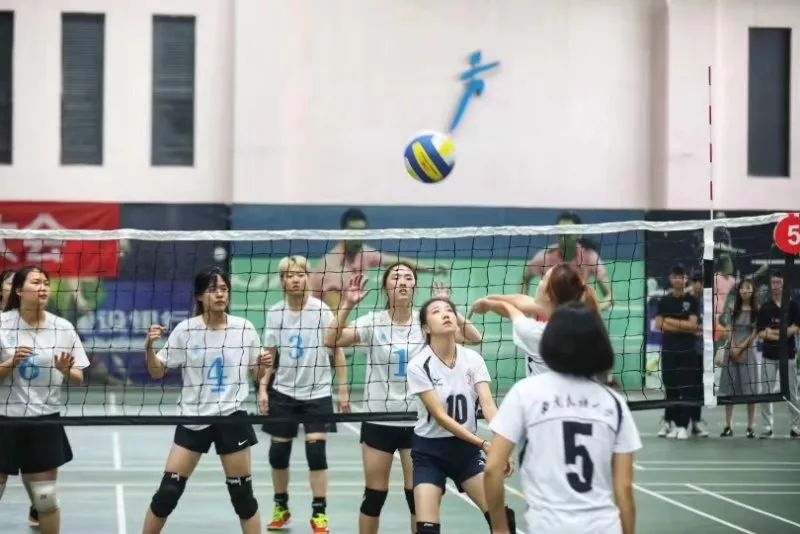 四川女排主场表演视频,西南大学女排夺冠视频