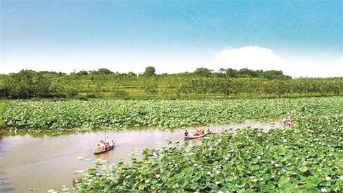 滨江巨变,滨江新城的变化