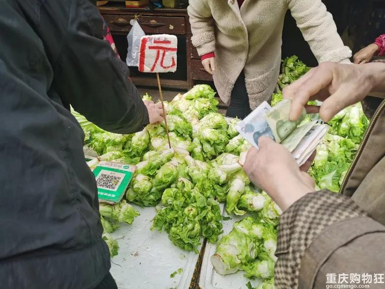 渝北区狗儿市场有卖猫的吗,渝北狗儿市场买狗