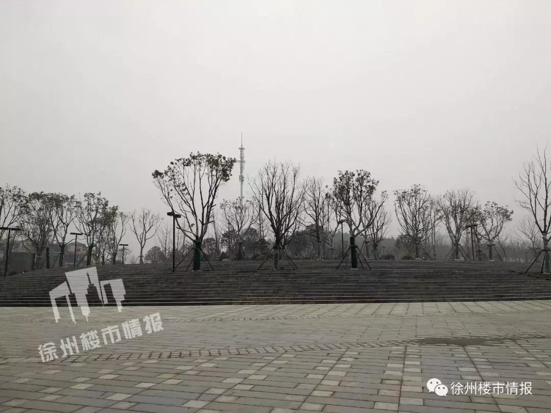 徐州森林公园,徐州森林公园开放时间最新