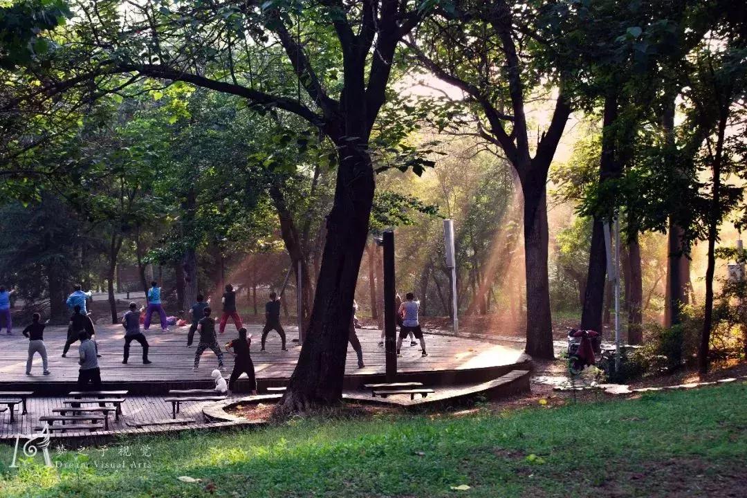 重磅：潍坊五一假期超丰富文旅大餐来袭！