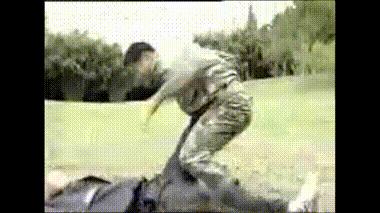 姝﹁鎿掓嬁gif,姝﹁gif鎽旀搾鍔ㄤ綔