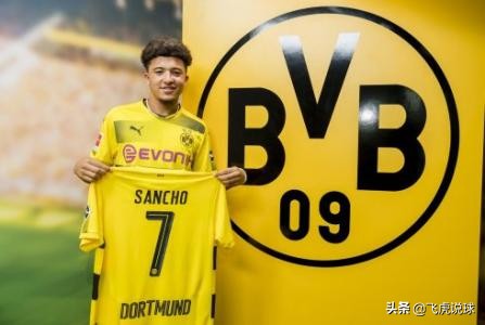 多特蒙德为什么总是卖核心球员,多特蒙德人才培养基地