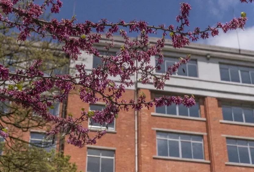 安徽省高校合肥理工,安徽省二类本科公办大学