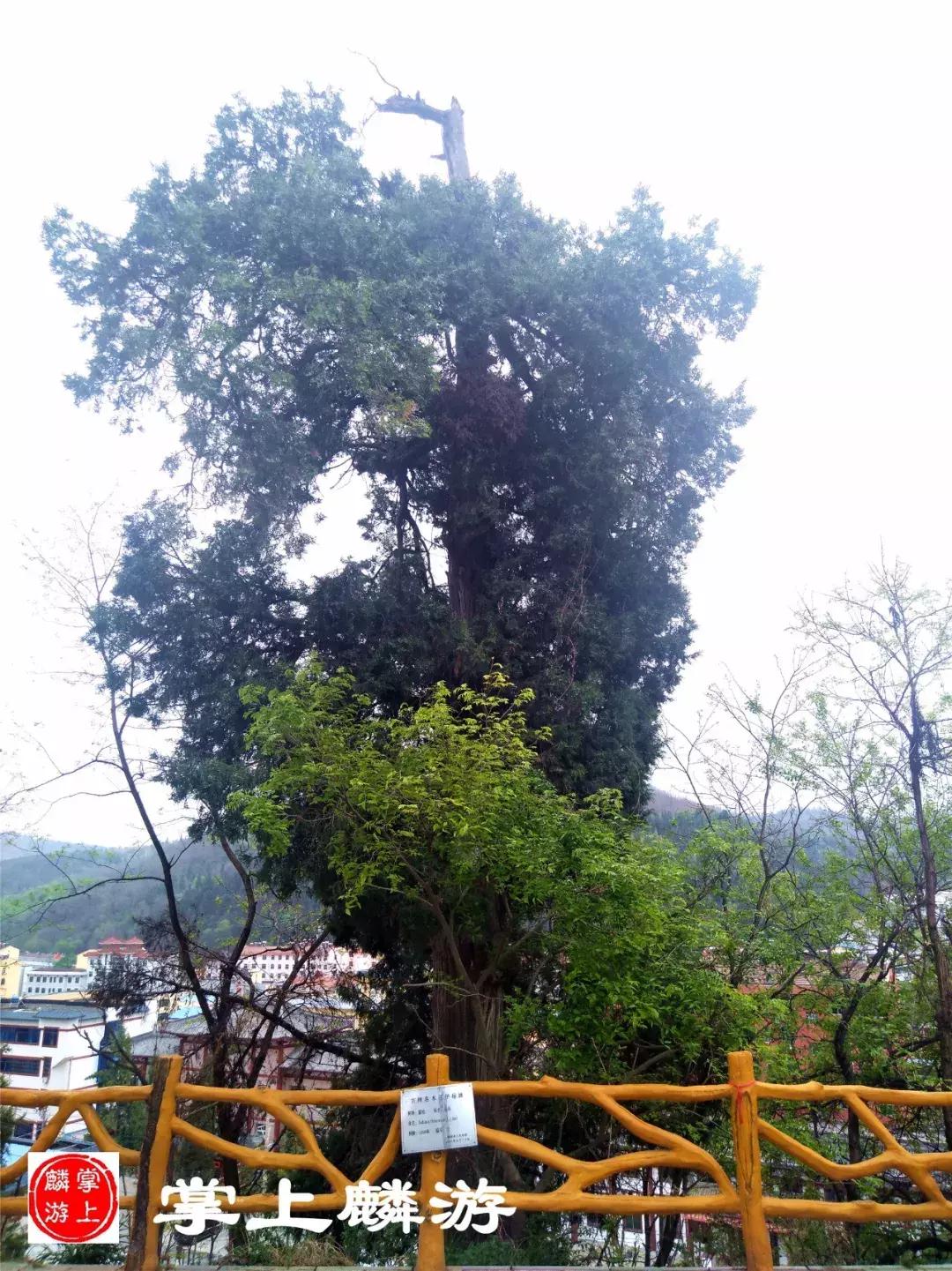 麟游旅游攻略一日游,宝鸡五一游攻略