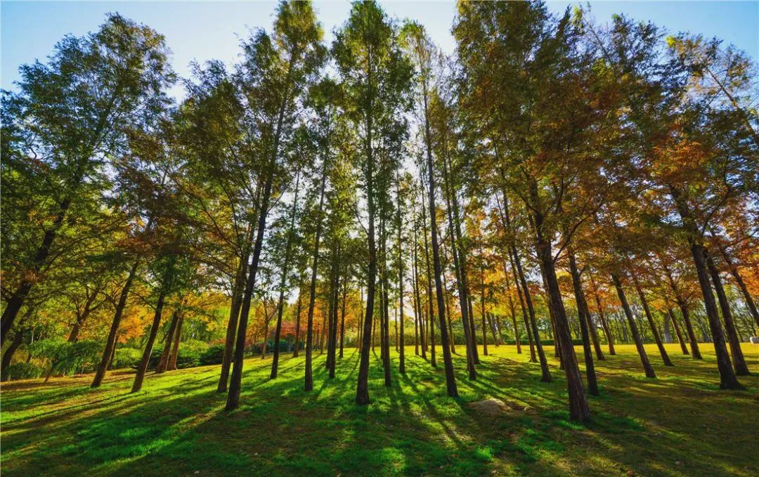 济南遛娃室内去哪里玩,济南遛娃好玩的地方
